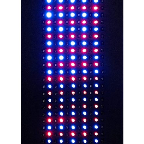 body tricolour 264 InLight pad