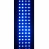 painbuster blue inlight pad