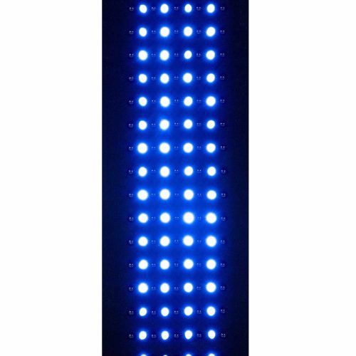 painbuster blue inlight pad