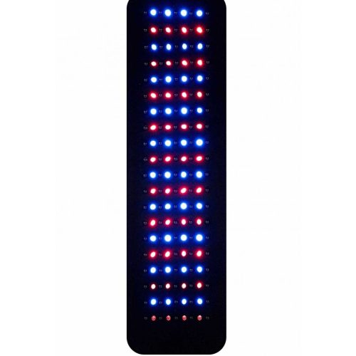 Painbuster II 180 Tricolour InLight Pad