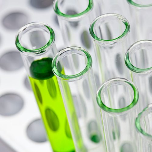 Bio Immunity Analysis